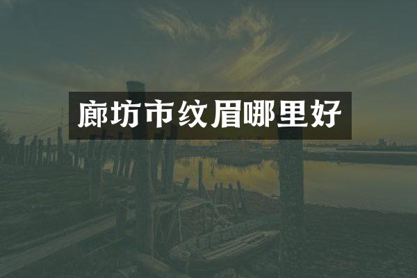 廊坊市纹眉哪里好