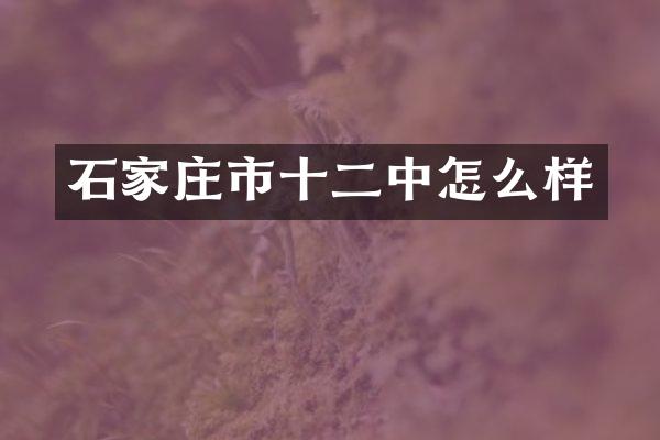 石家庄市十二中怎么样