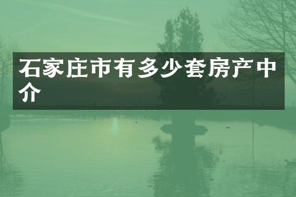 石家庄市有多少套房产中介