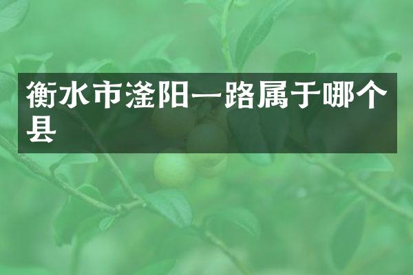 衡水市滏阳一路属于哪个县