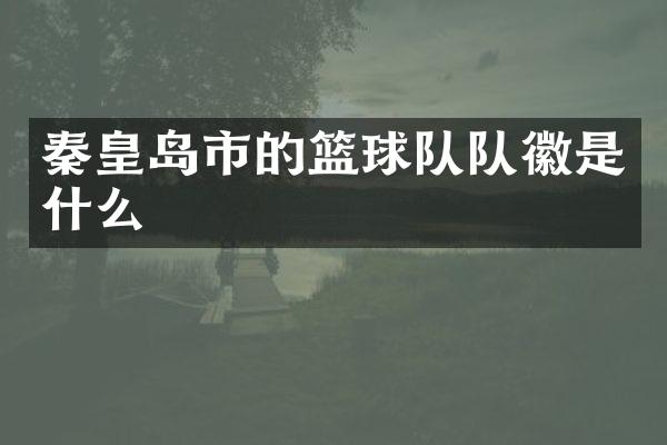 秦皇岛市的篮球队队徽是什么