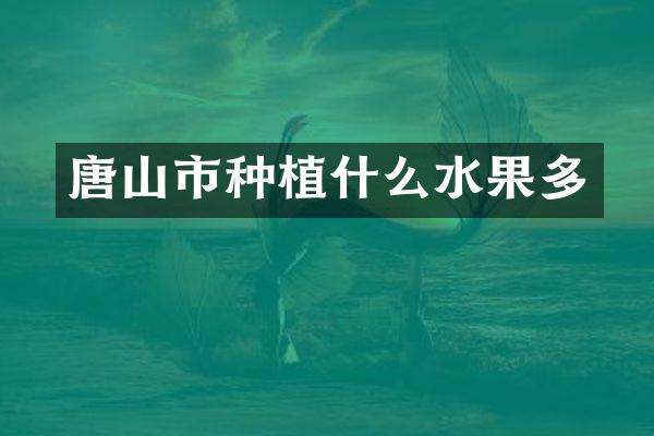 唐山市种植什么水果多