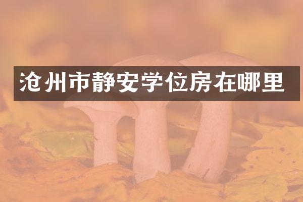 沧州市静安学位房在哪里