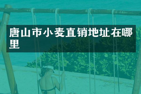 唐山市小麦直销地址在哪里