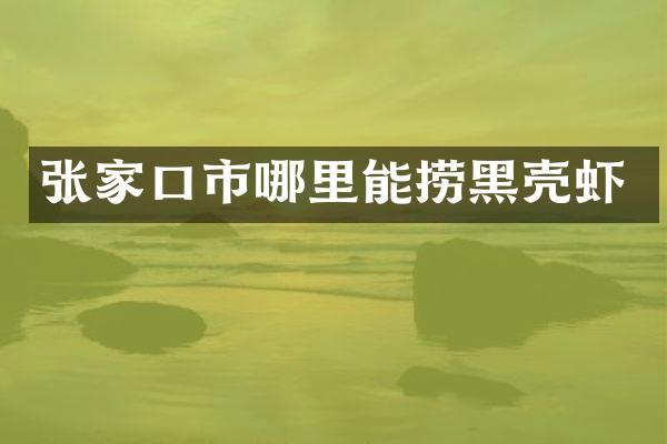 张家口市哪里能捞黑壳虾