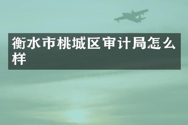 衡水市桃城区审计局怎么样