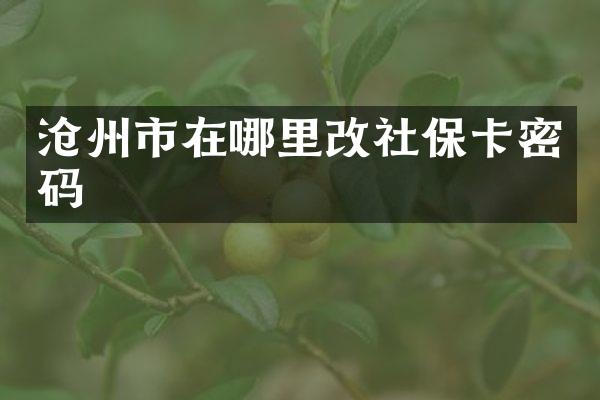 沧州市在哪里改社保卡密码