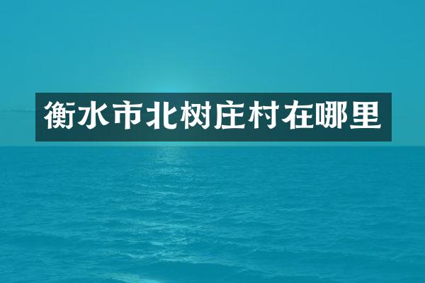 衡水市北树庄村在哪里