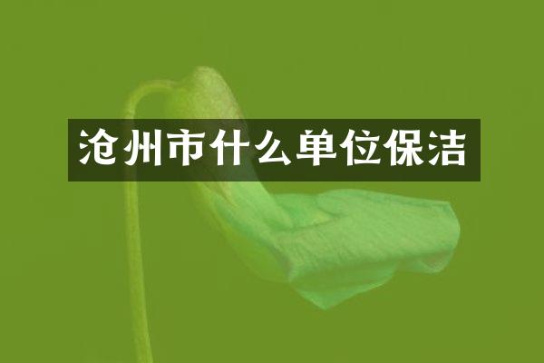沧州市什么单位保洁