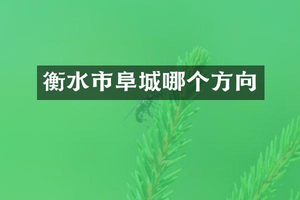 衡水市阜城哪个方向