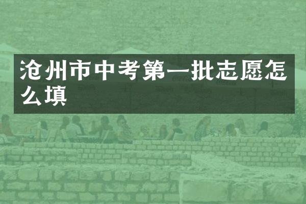 沧州市中考第一批志愿怎么填