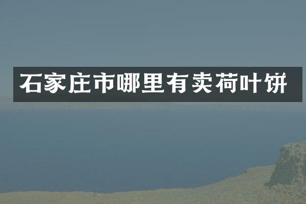 石家庄市哪里有卖荷叶饼