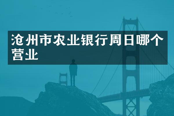 沧州市农业银行周日哪个营业