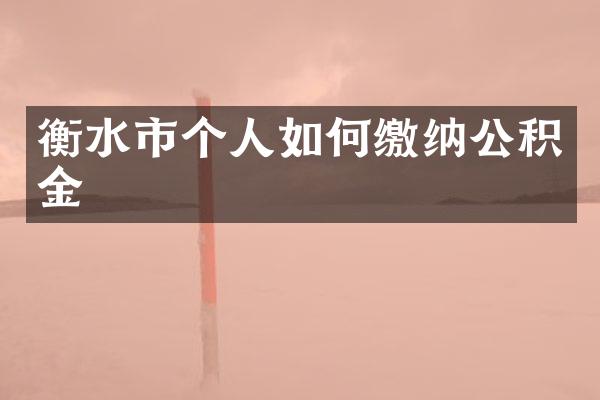 衡水市个人如何缴纳公积金