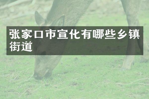 张家口市宣化有哪些乡镇街道