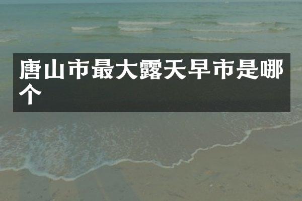 唐山市最大露天早市是哪个