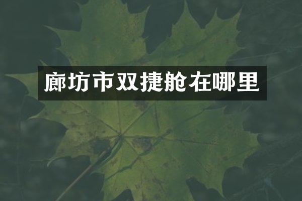 廊坊市双捷舱在哪里