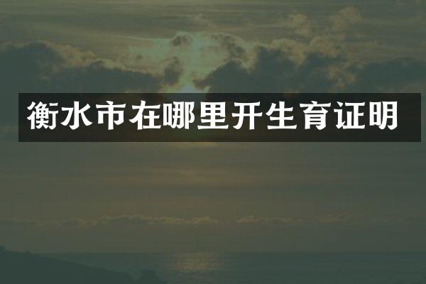 衡水市在哪里开生育证明