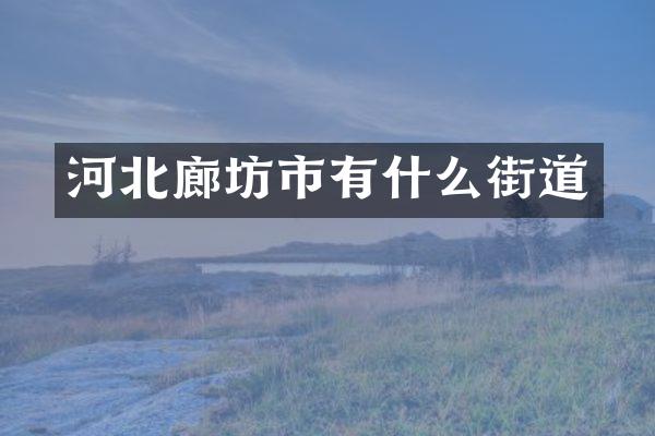 河北廊坊市有什么街道