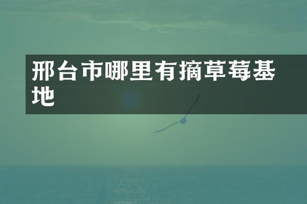 邢台市哪里有釆摘草莓基地