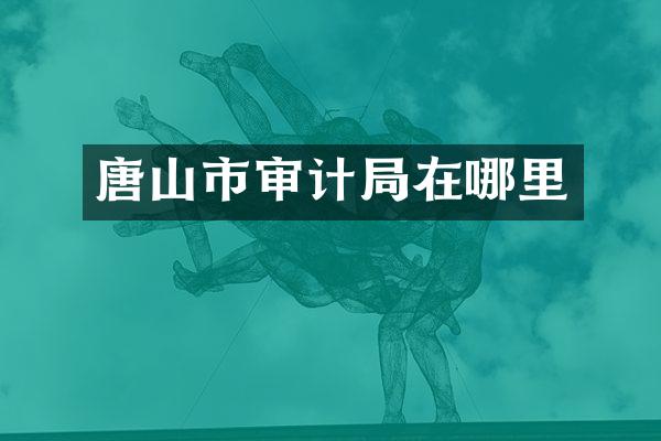 唐山市审计局在哪里