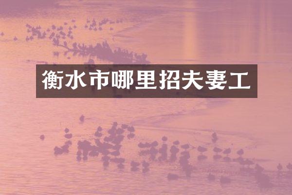 衡水市哪里招夫妻工
