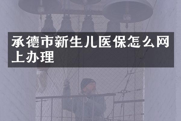 承德市新生儿医保怎么网上办理