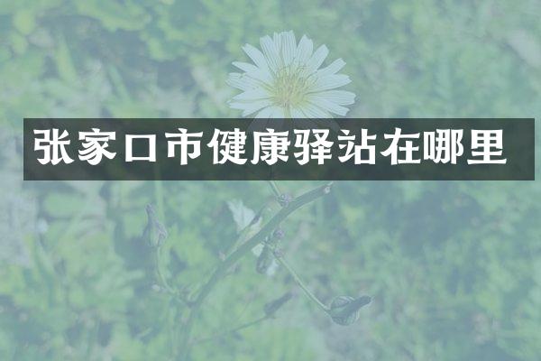 张家口市健康驿站在哪里