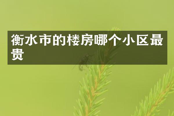 衡水市的楼房哪个小区最贵