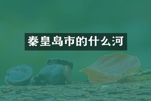 秦皇岛市的什么河