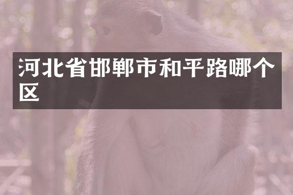 河北省邯郸市和平路哪个区