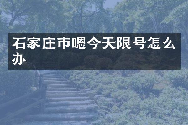 石家庄市嗯今天限号怎么办