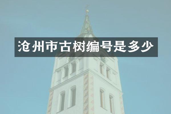 沧州市古树编号是多少