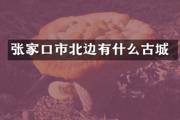 张家口市北边有什么古城