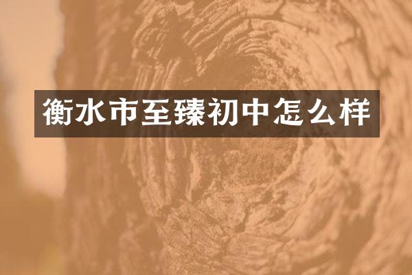 衡水市至臻初中怎么样