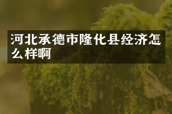 河北承德市隆化县经济怎么样啊