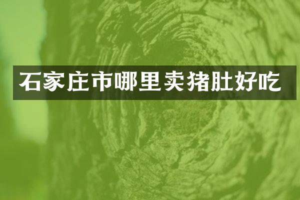 石家庄市哪里卖猪肚好吃