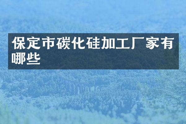 保定市碳化硅加工厂家有哪些