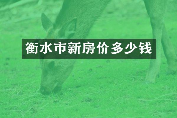 衡水市新房价多少钱