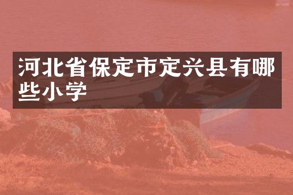河北省保定市定兴县有哪些小学