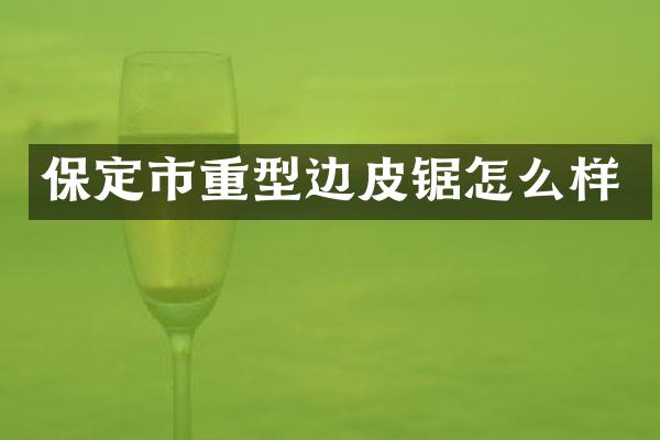 保定市重型边皮锯怎么样