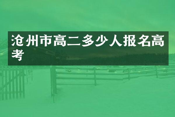 沧州市高二多少人报名高考