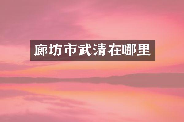 廊坊市武清在哪里