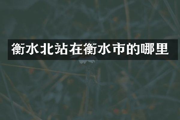 衡水北站在衡水市的哪里