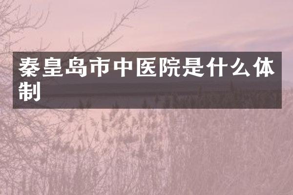 秦皇岛市中医院是什么体制
