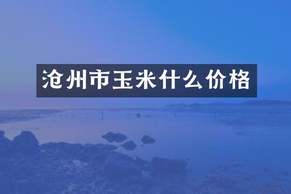 沧州市玉米什么价格