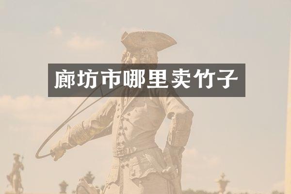 廊坊市哪里卖竹子