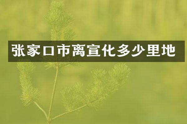 张家口市离宣化多少里地