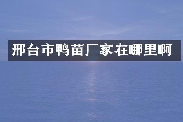 邢台市鸭苗厂家在哪里啊
