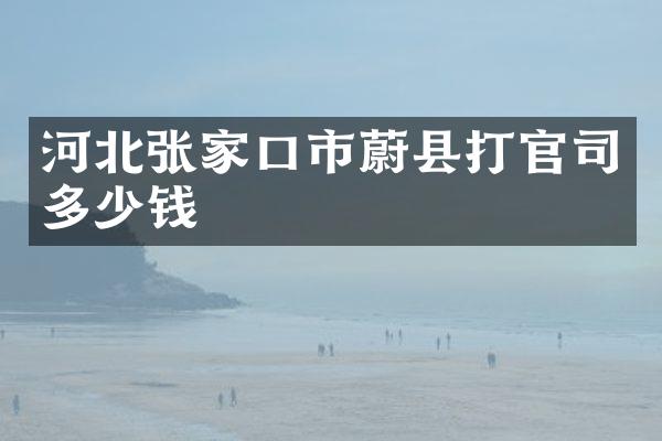 河北张家口市蔚县打官司多少钱
